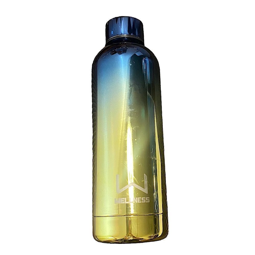 Wellness Insulated Cup Thermos Blue Gold Chrome Colors